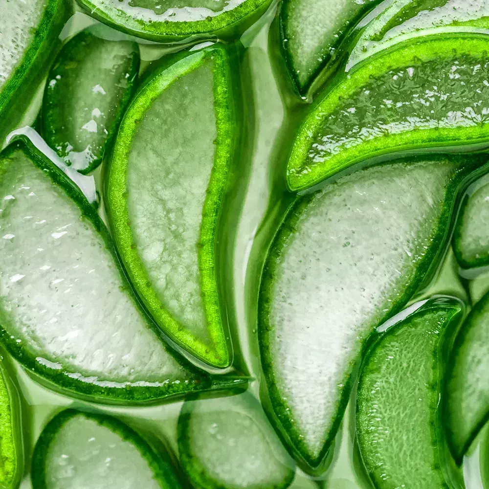 Aloe Vera