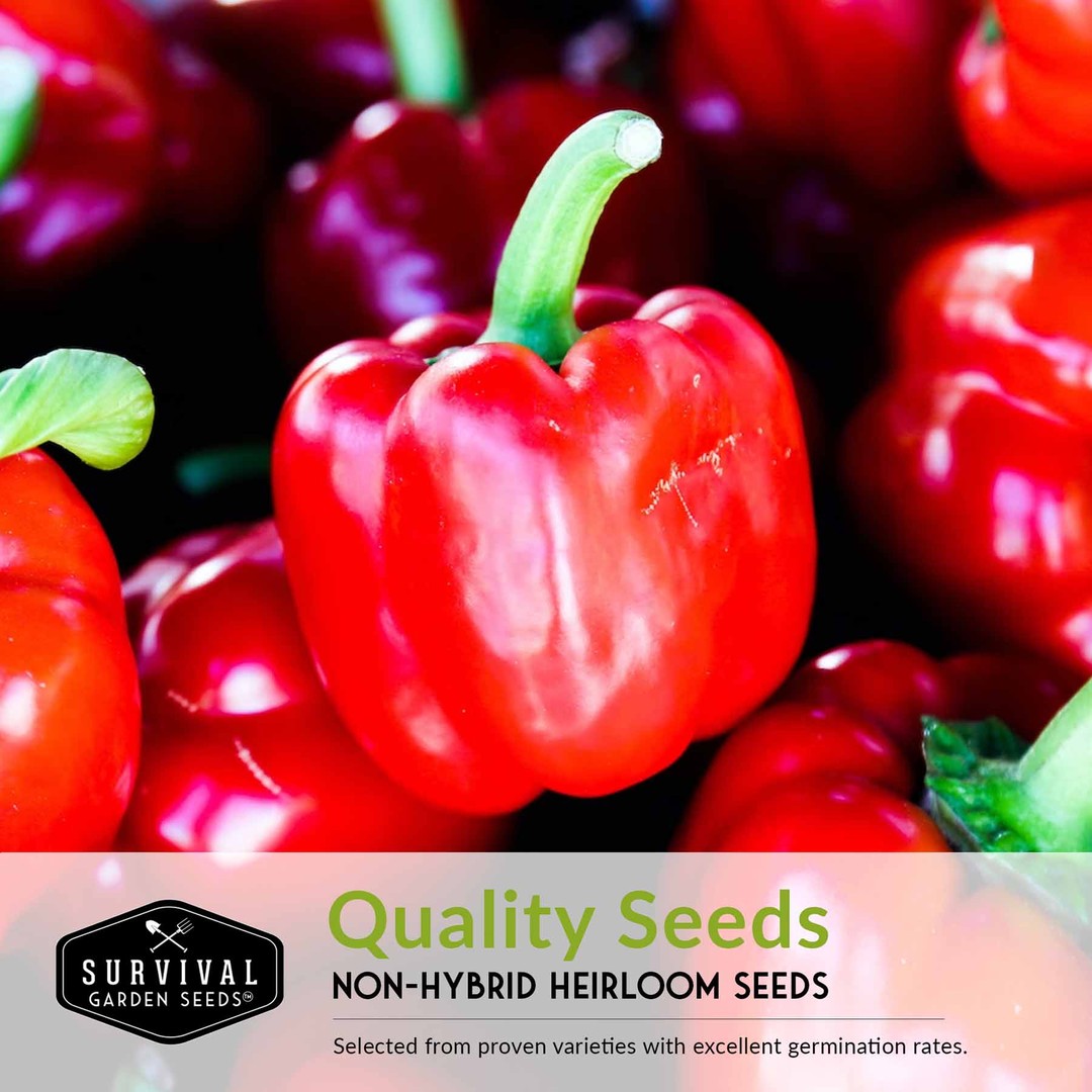Quality non-hybrid heirloom sweet pepper seeds
