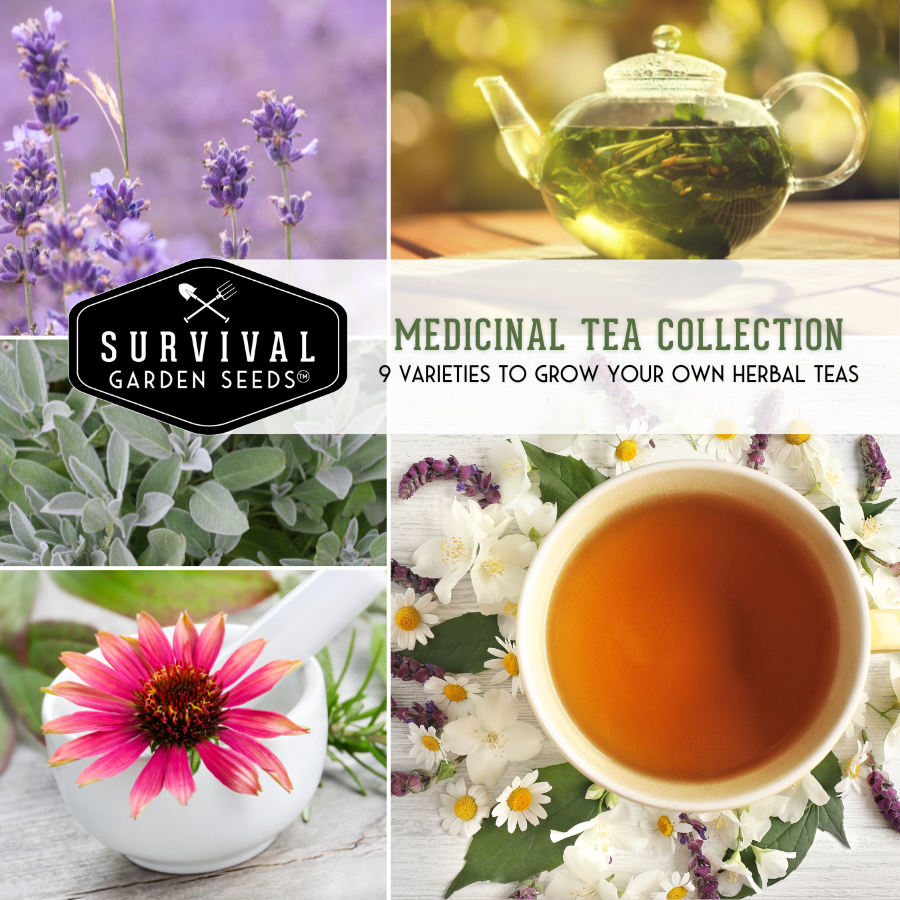 Medicinal Tea Seed Collection - 9 Herb and Flower Seed Varieties for Tea
