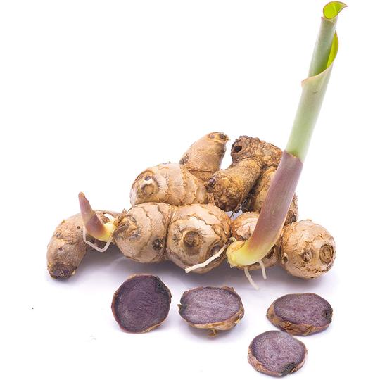 Thai Black Ginger | Addictive Wellness