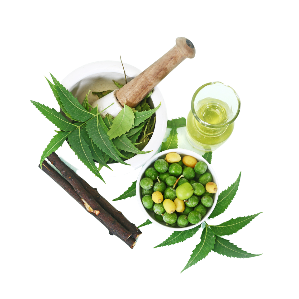 neem fruit oil