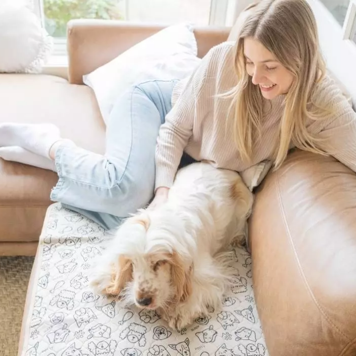 Woman teaching puppy to give paw