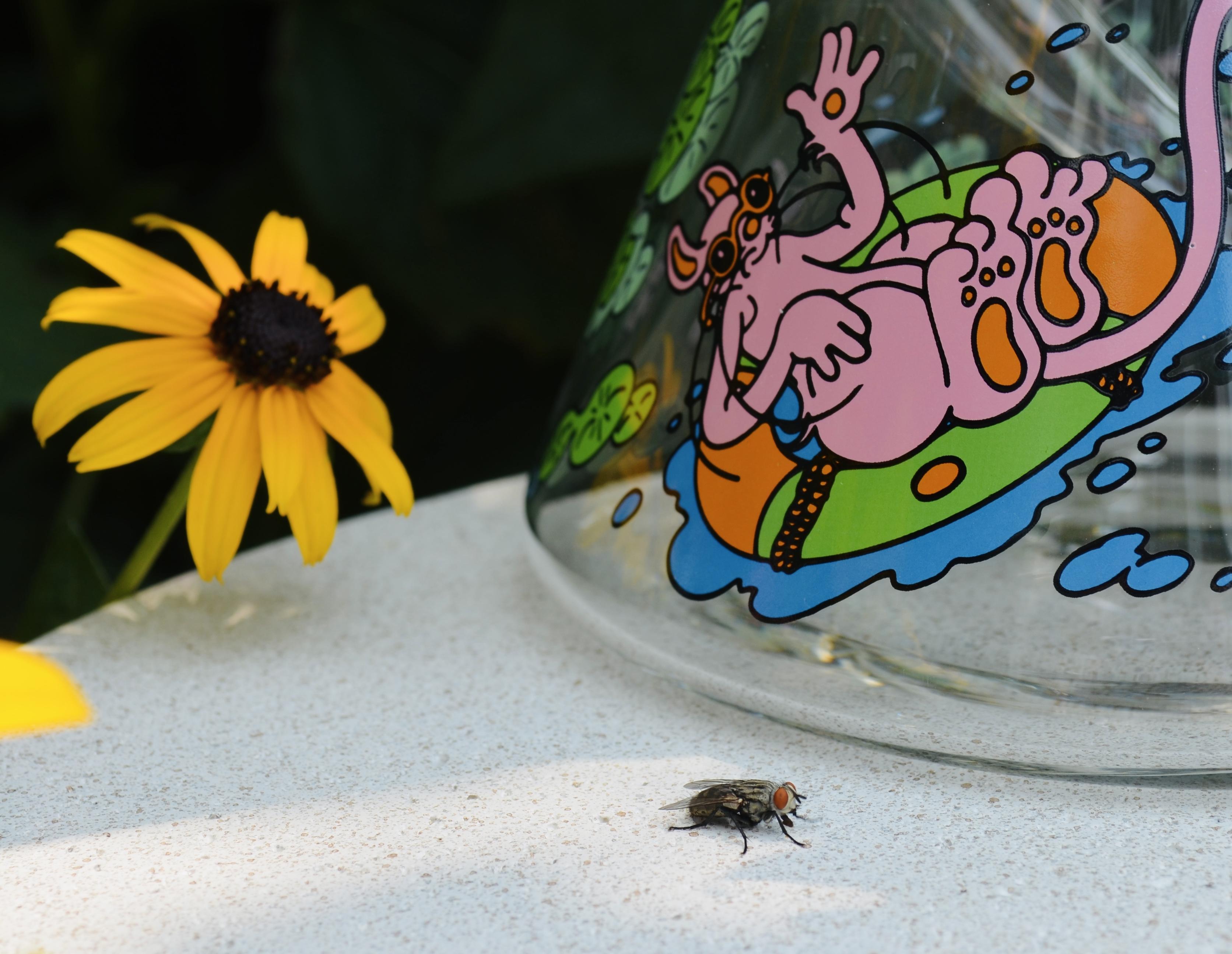 A close-up image of a Prism bong with a Pond Life decal next to a real fly and a yellow flower on a small white table