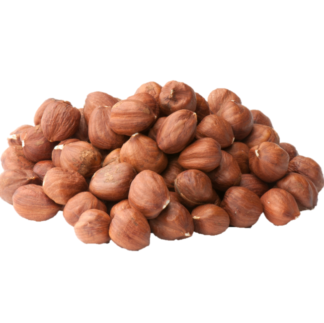 Photo shows hazelnuts