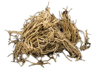 Vetiver