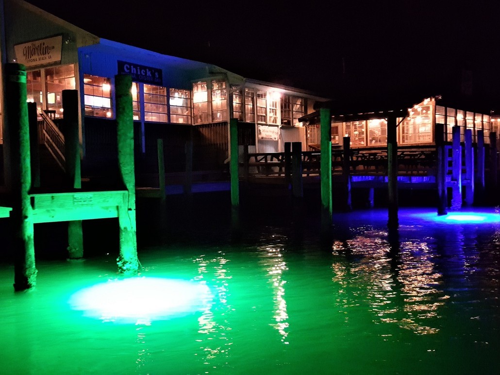 15,000 Lumen 30ft Cord Waterproof AC Underwater Dock Fishing Night Light 300 Green LED Submersible Dock Light, 