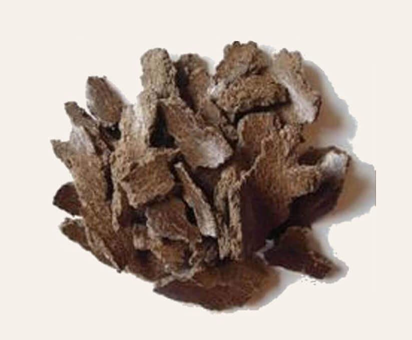 Écorce d'arbre à beurre ou écorce de mahua