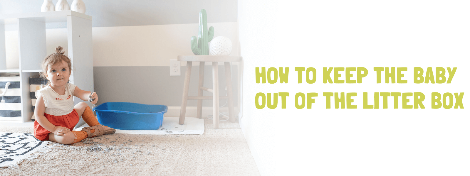 How to Keep the Baby Out of the Litter Box - Banner