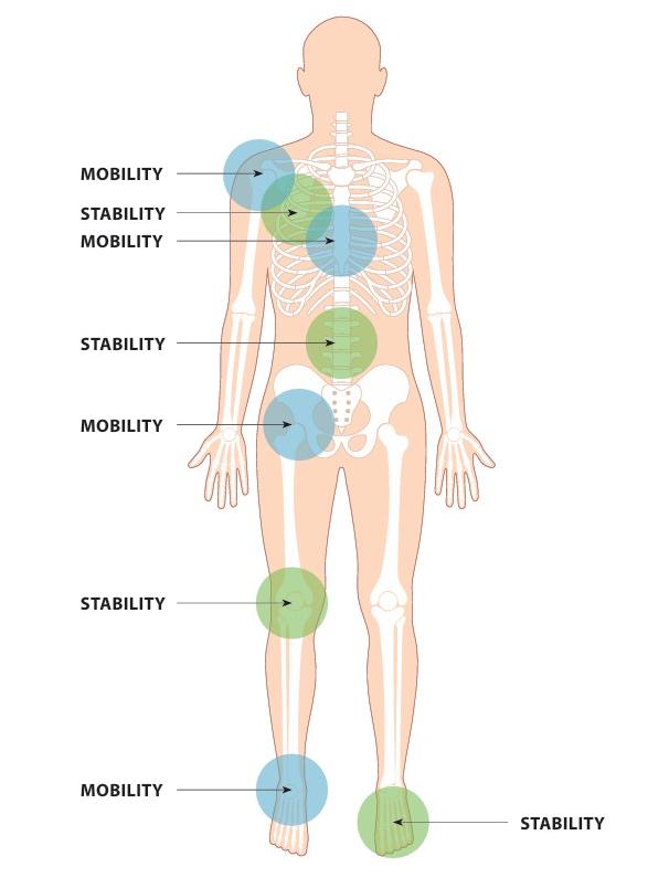 Figure 8.1: Joint by Joint Anatomy Description.