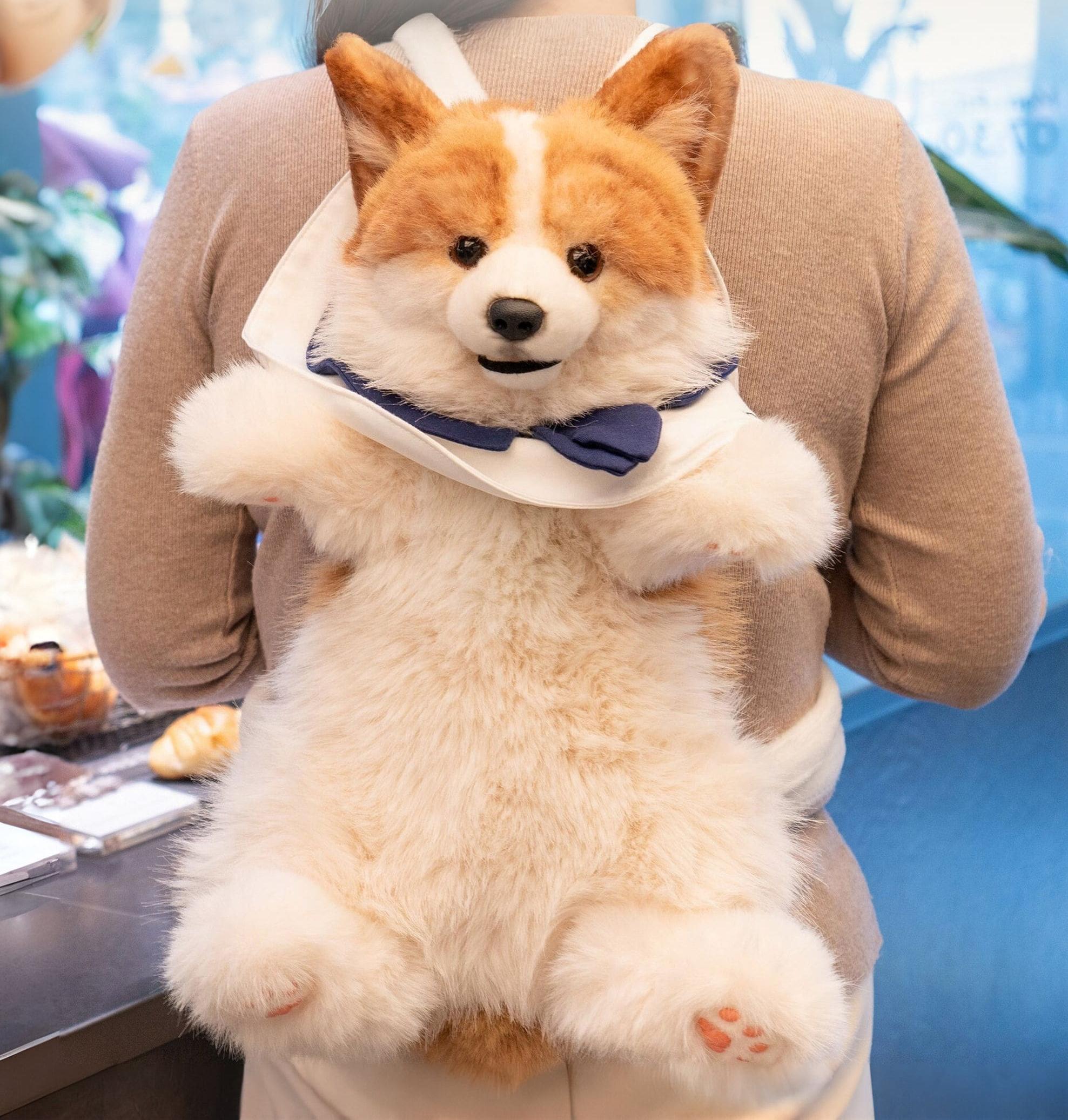 Petslify Corgi Backpack for kids and adults