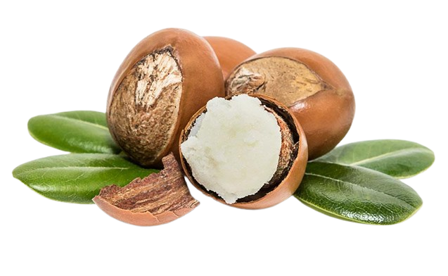 Shea butter