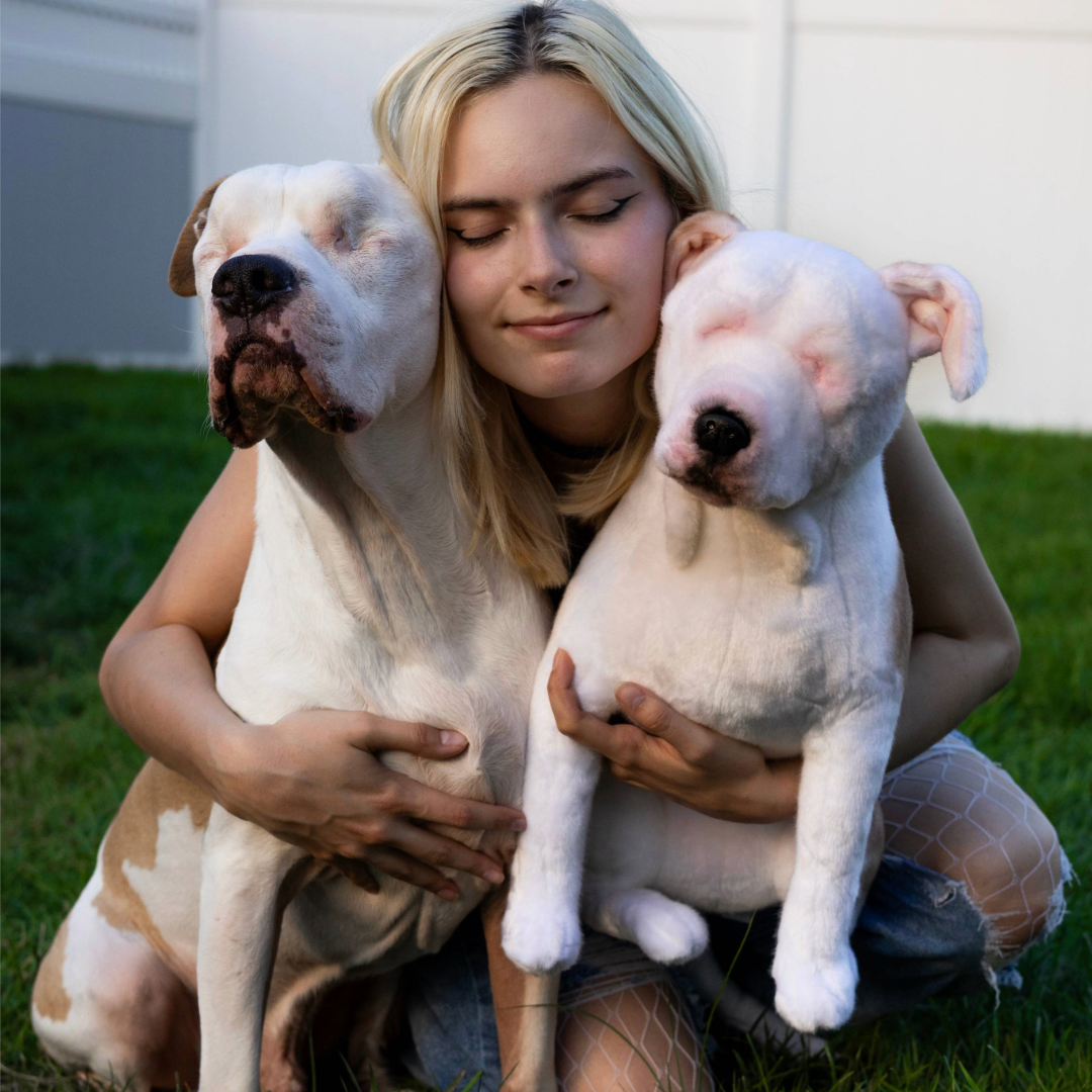 Rescue Dog with Their Cuddle Clone