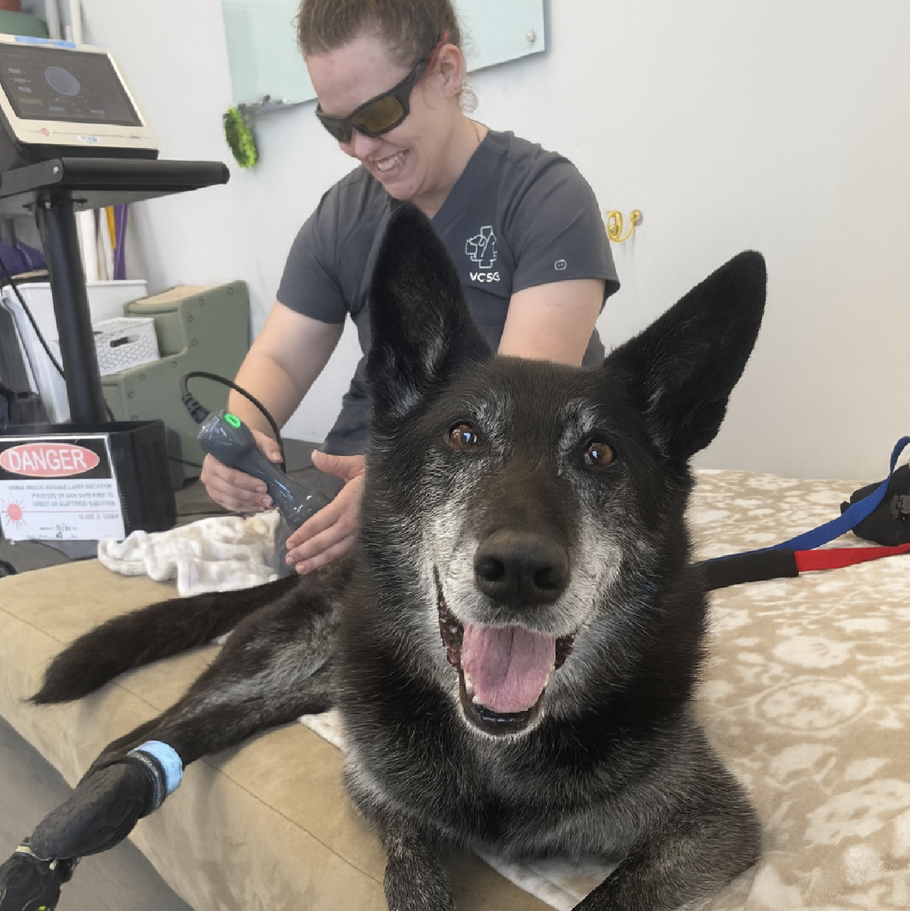 The University of Tennessee Project K-9 Hero Scholarship