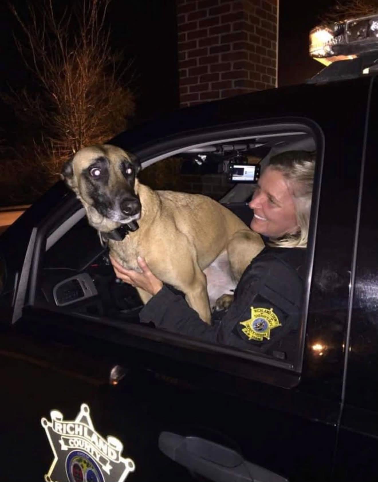 k9 breston with his handler