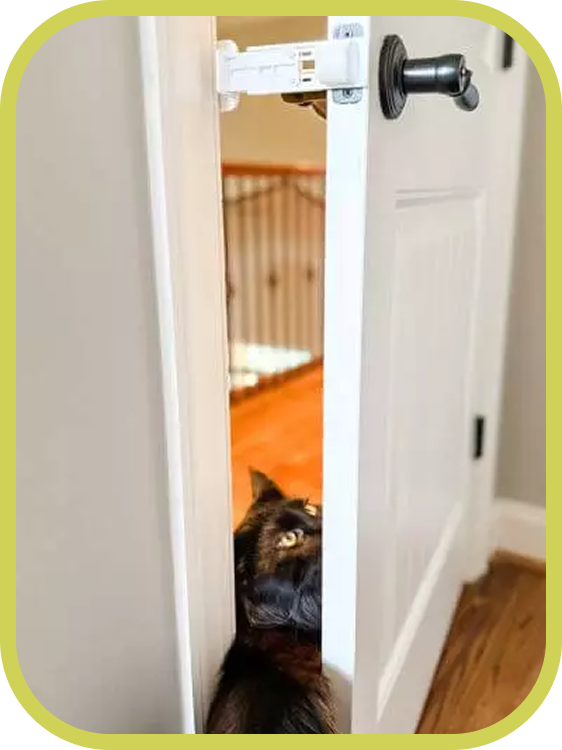 A cat looks through a partially open door held in place by The Door Buddy door prop. The adjustable prop allows the door opening to be set between three and five point five inches to fit different cat sizes.