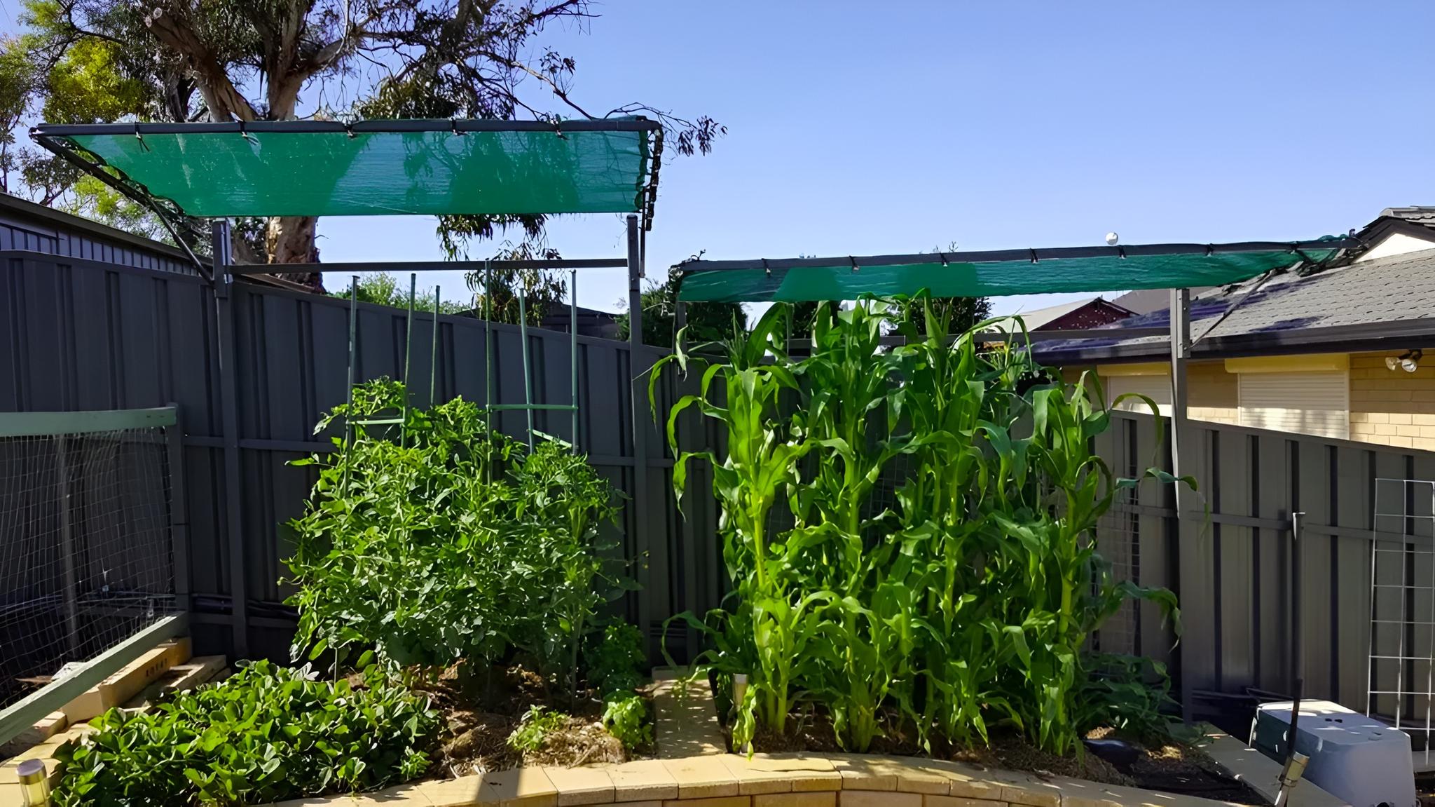 7 Eco Clothesline Models Worth Buying in 2024 Lifestyle Clotheslines