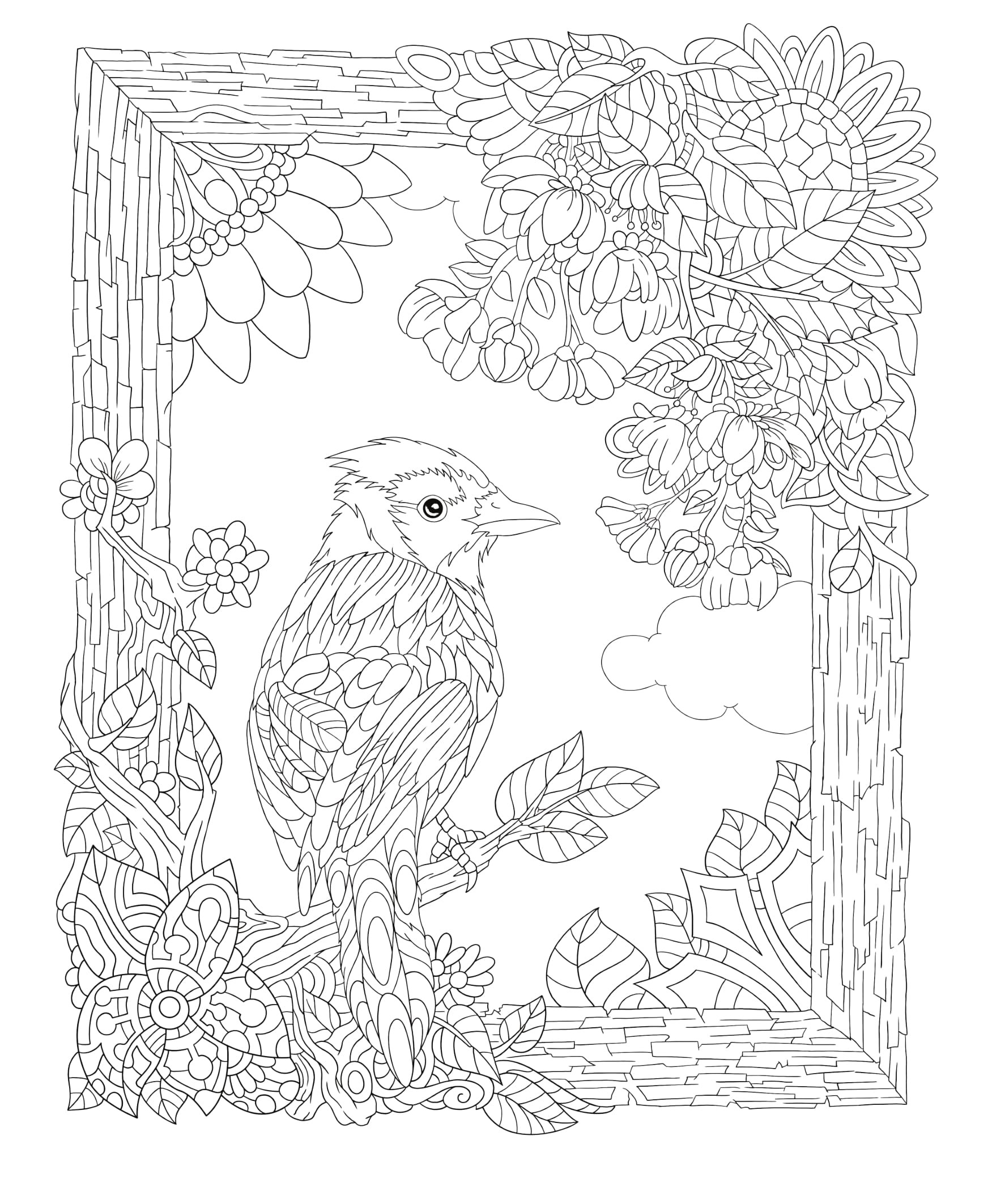 Freebie Friday 20 20 20 Free Colors Of Nature Drawing