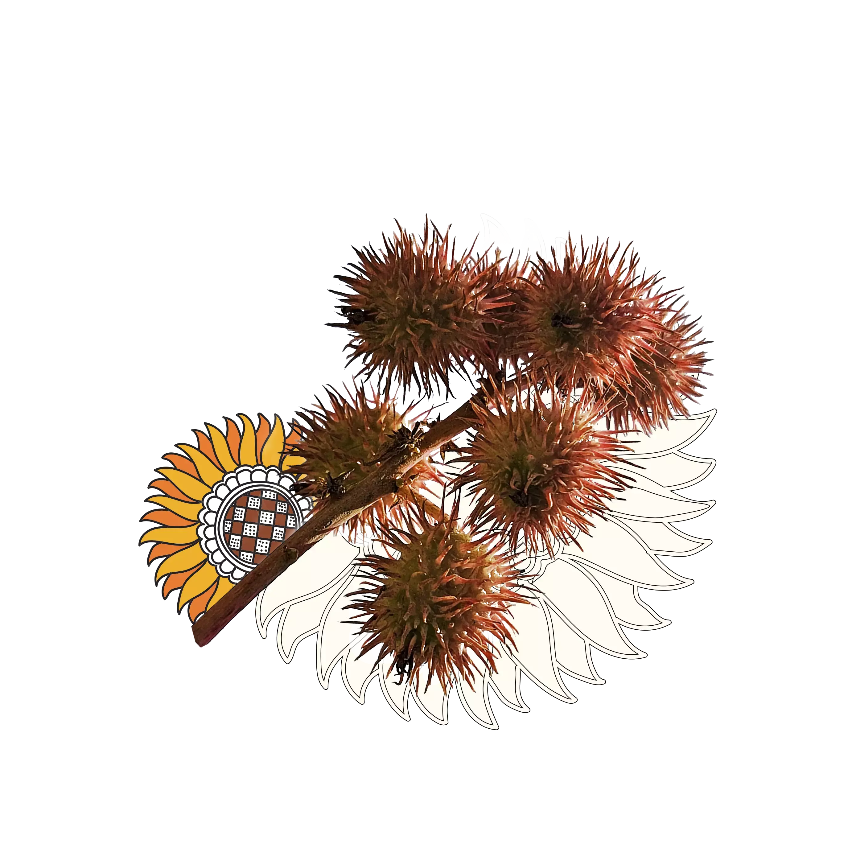 A bunch of castor surrounded by floral artworks