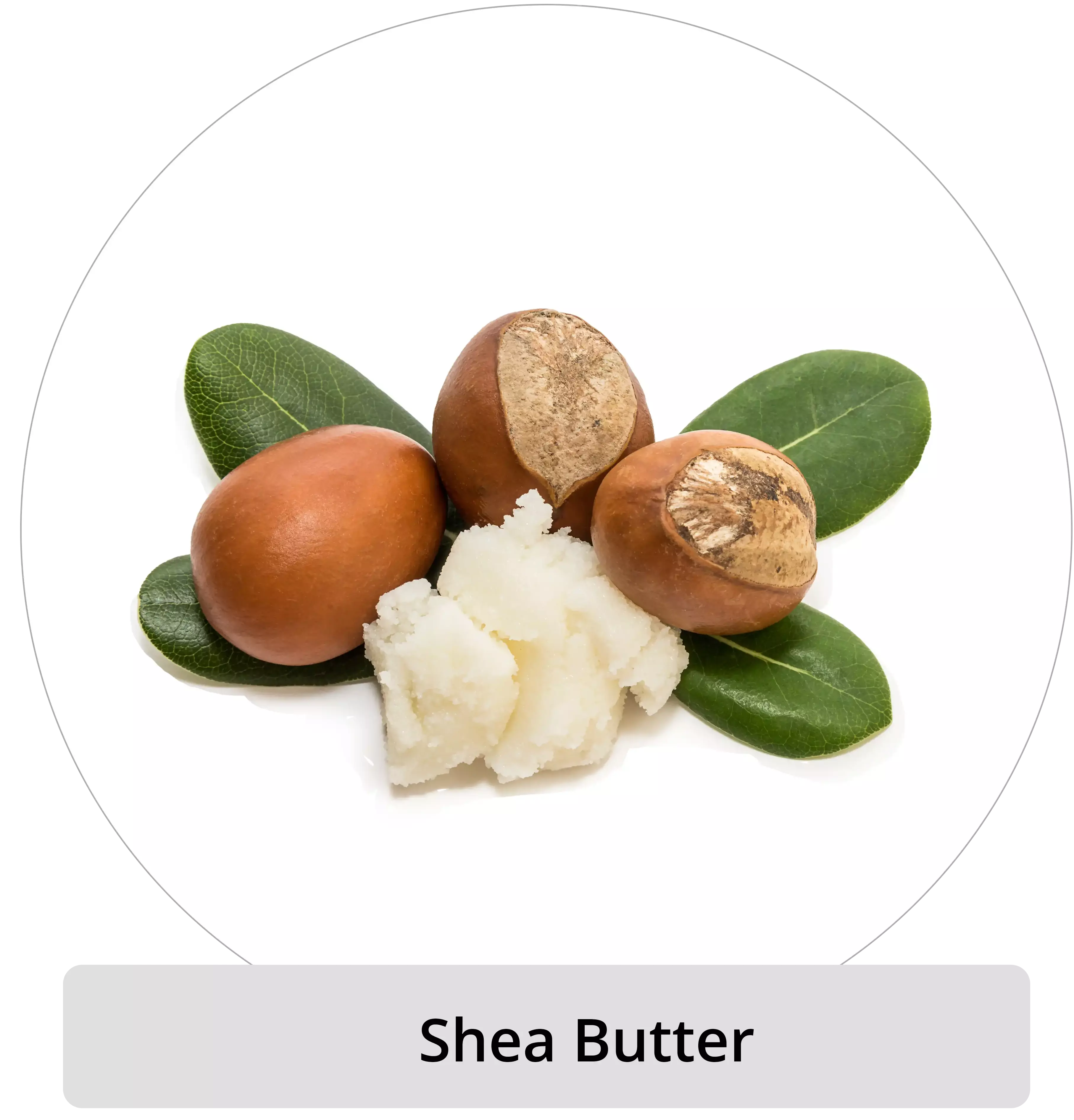 Shea butter image