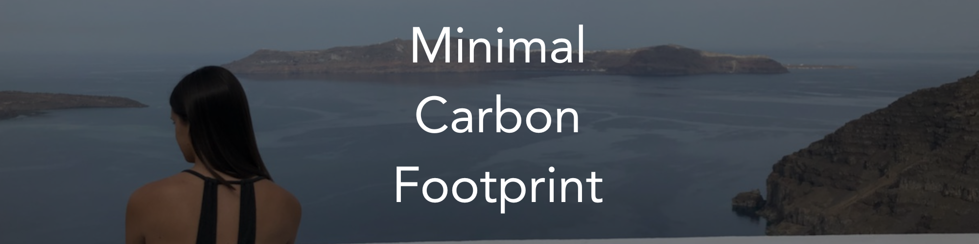 Carbon Offsets