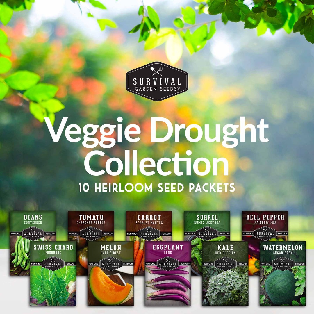 Drought tolerant veggie seed collection
