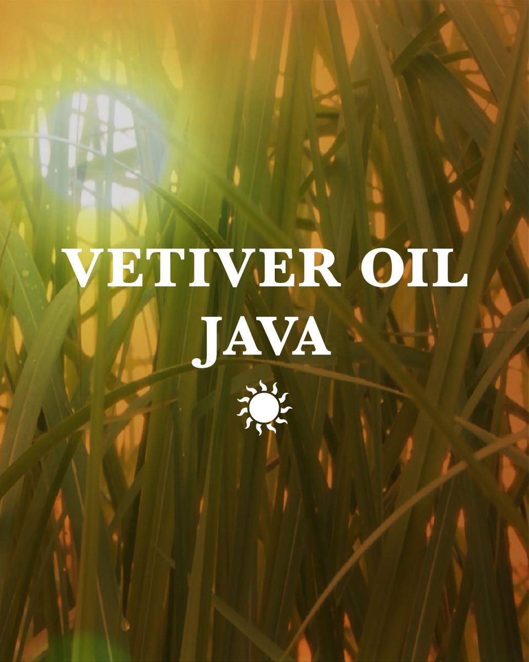 Vetiver Oil Java LMR