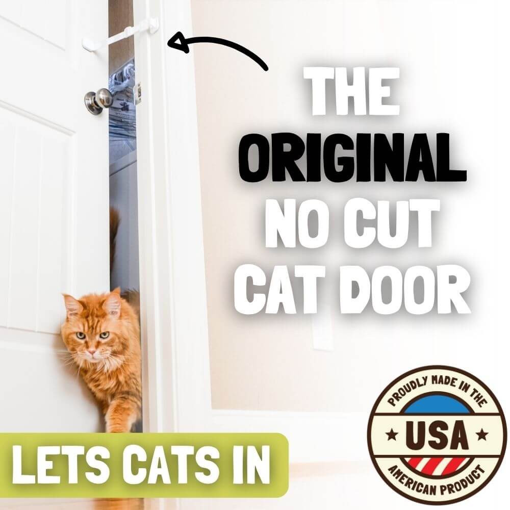 Interior Door Cat Door Alternative - Door Buddy