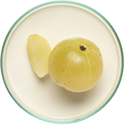 Indian Gooseberry