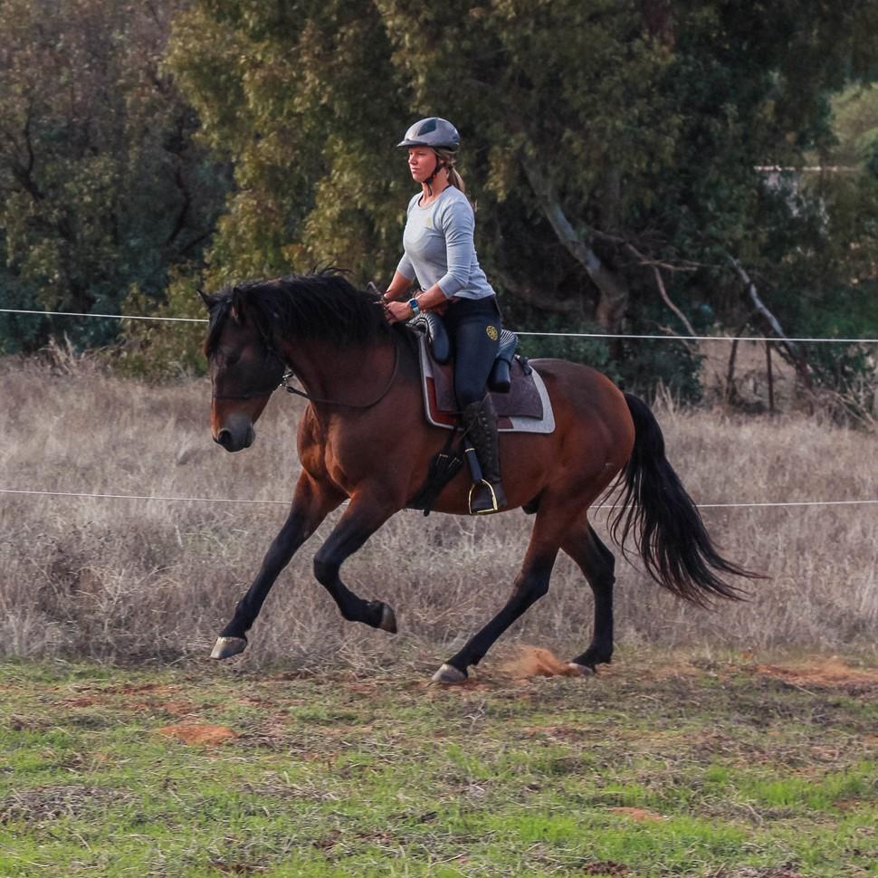 riding and country boots