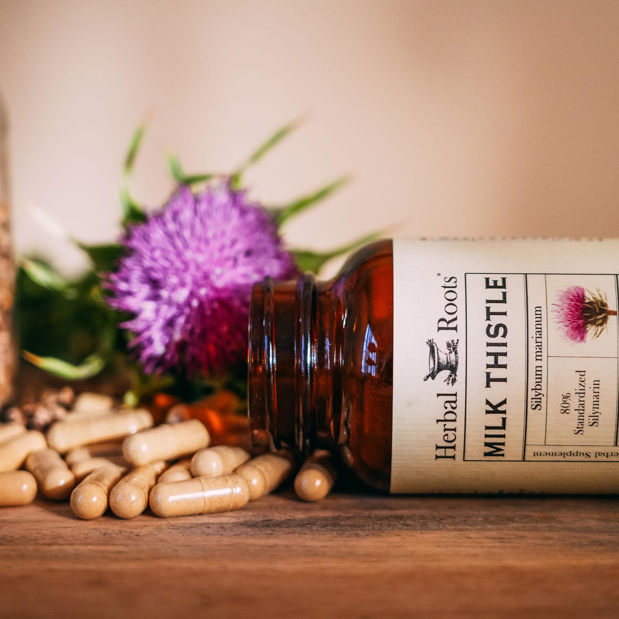 bottle of Herbal Roots Milk thistle with capsule spilled out and milk thistle flower behind