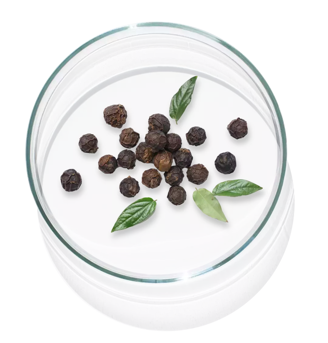 The image shows Apricot which is one of the ingredients in Cleanser