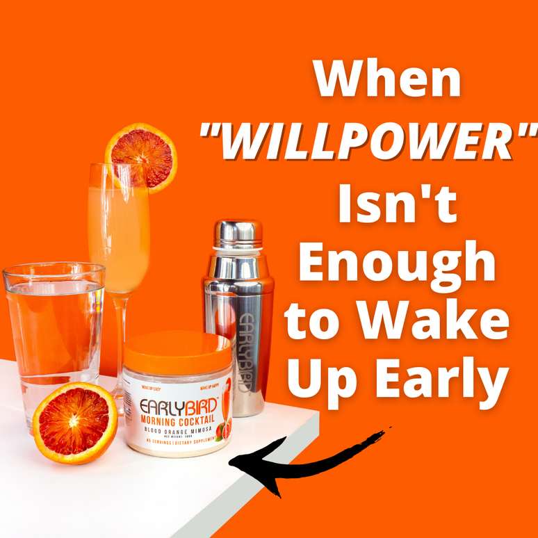 3 Best Energy Drinks for Studying All Night (Focus)