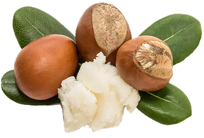 Shea Butter