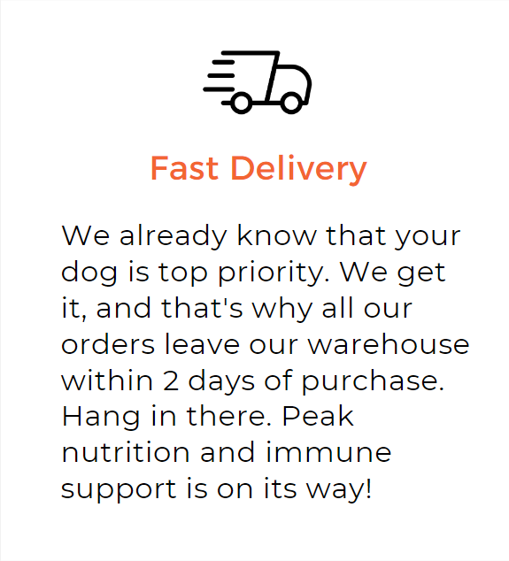 Selvita Canine Fast Delivery
