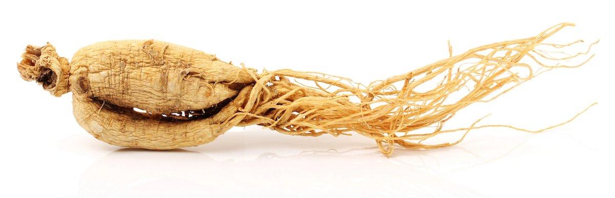 Light brown, Ginseng root with white background
