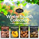 Winter Squash seed collection - 4 heirloom winter squash seed packets