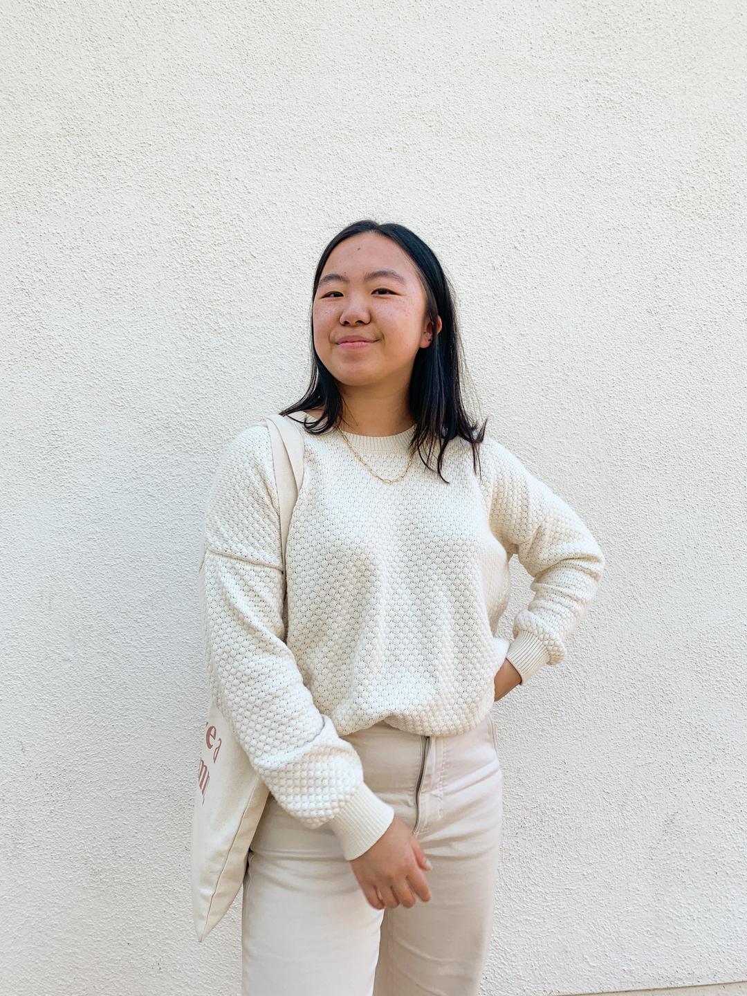 Ambassador Shirley | Jude Pullover in Birch
