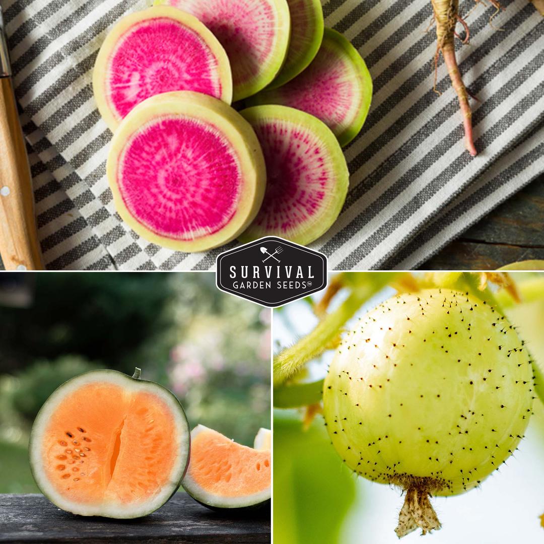 watermelon radish, tendersweet watermelon, lemon cucumber