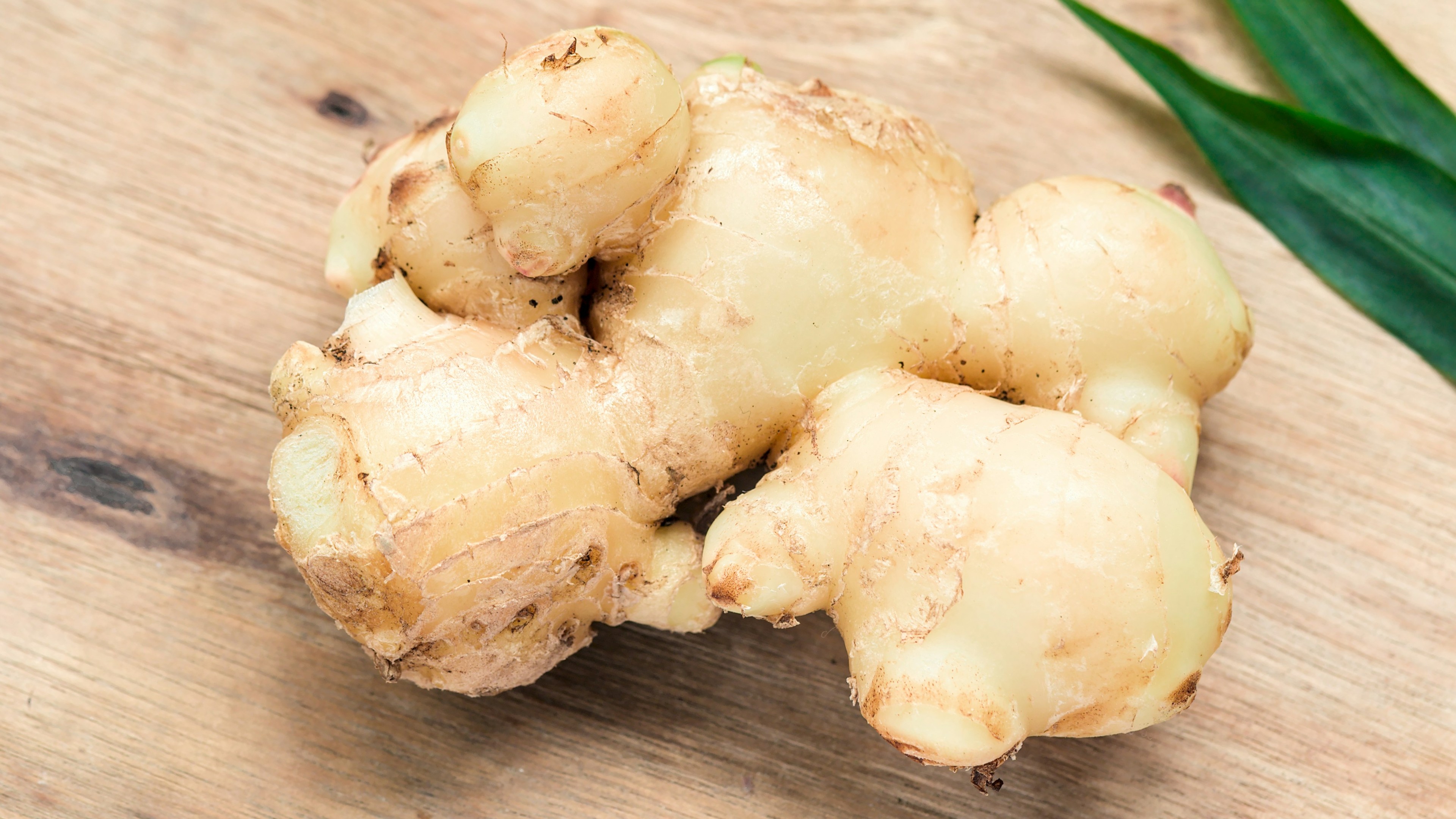close up of ginger root