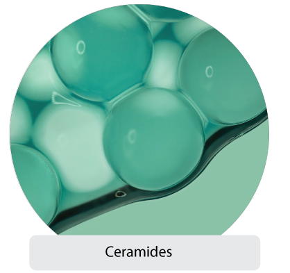 icon for ceramides