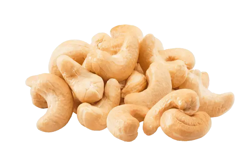 Cashew