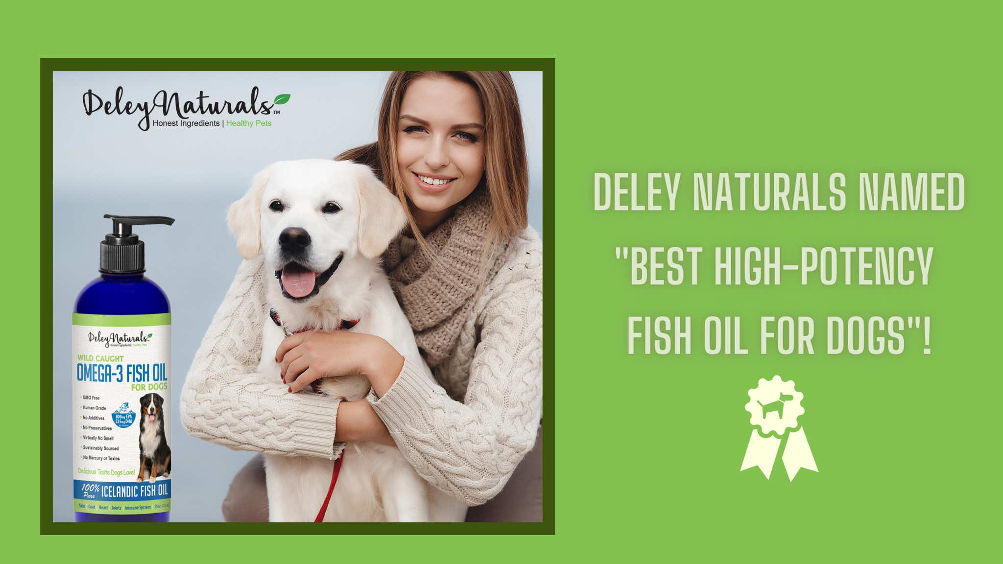  Wild Caught Fish Oil for Dogs - 16oz - Omega 3-6-9, GMO Free -  Reduces Shedding, Supports Skin, Coat, Joints, Heart, Brain, Immune System  - Highest EPA & DHA Potency 