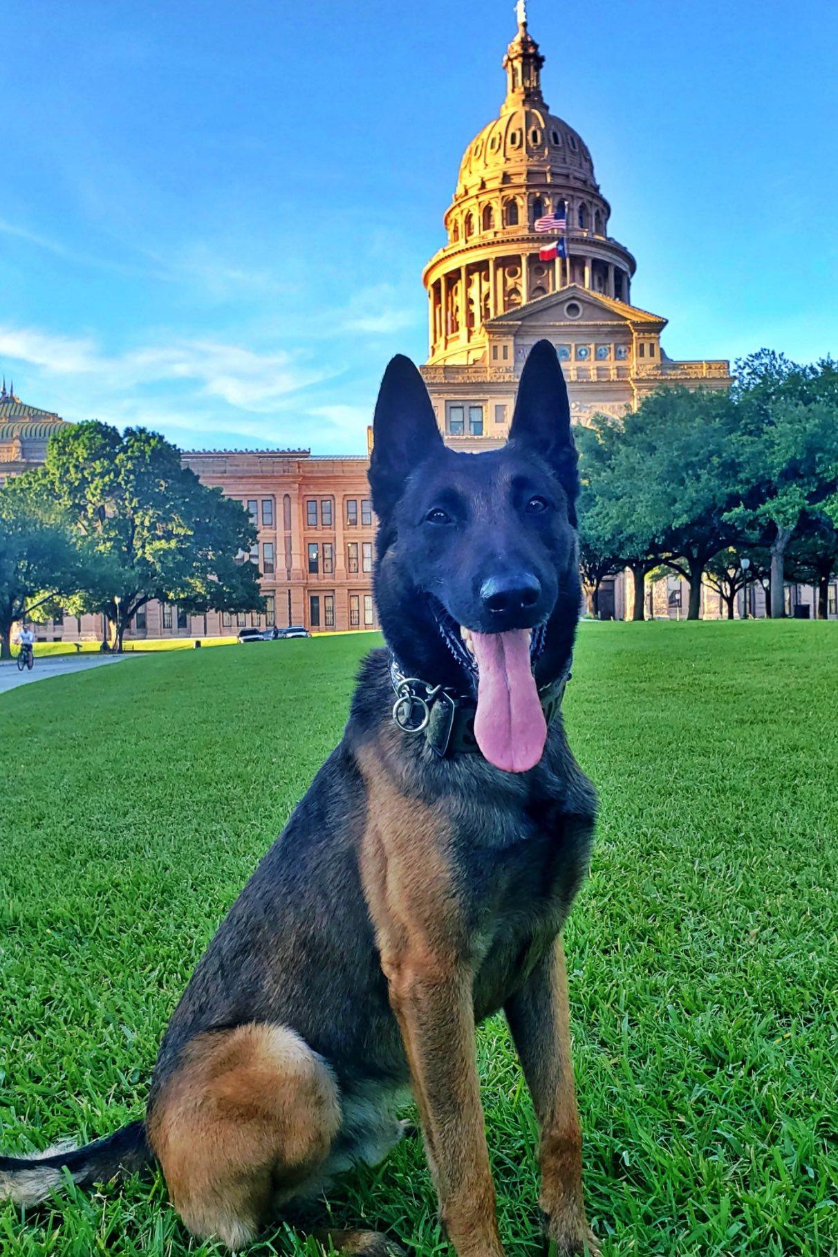 k9 kato at capital building