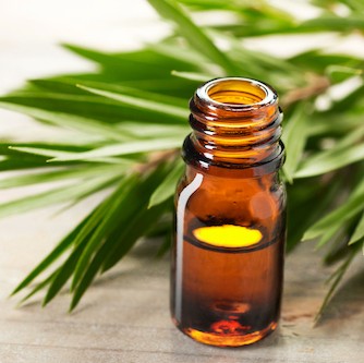 Teat Tree oil bottle
