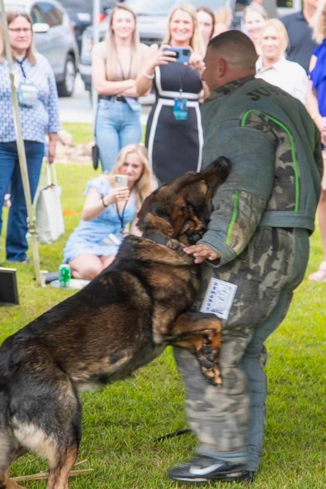 k9 marek bite work