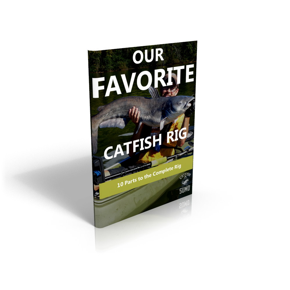 How to make the perfect catfish rig 