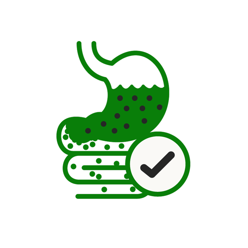 Stomach icon with a checkmark, indicating healthy digestion.