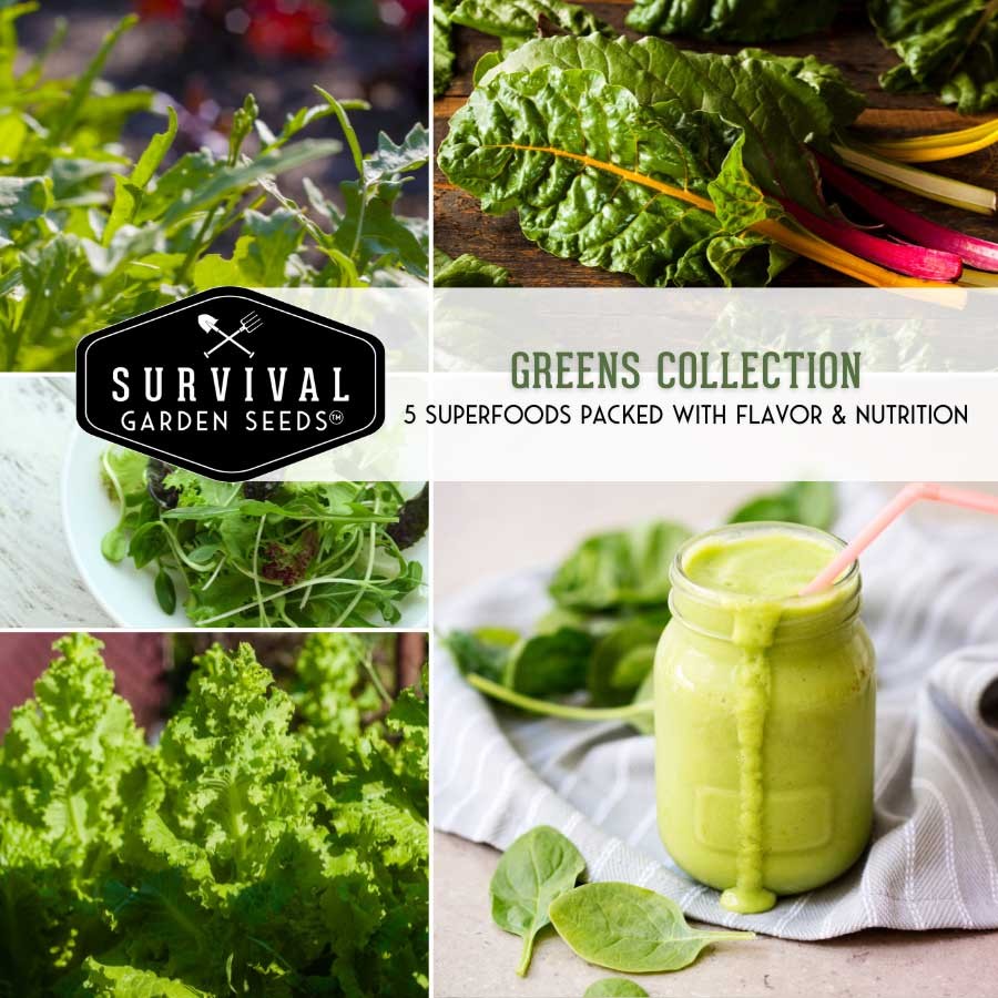 Greens Seed Collection - 5 Heirloom Leafy Green Vegetables