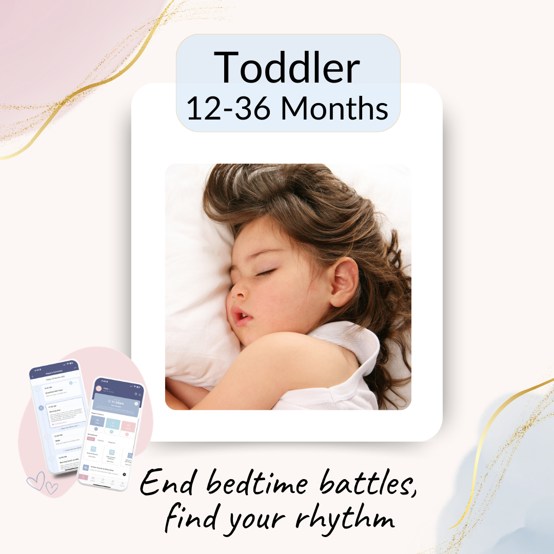 Little Ones Sleep Program