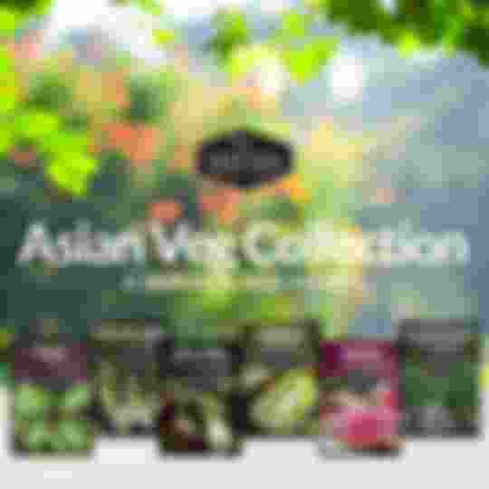 Asian Vegetable Seed Collection - 6 heirloom Asian vegetables